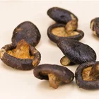 Wholesale Salty Mushroom Crisp Healthy Snacks