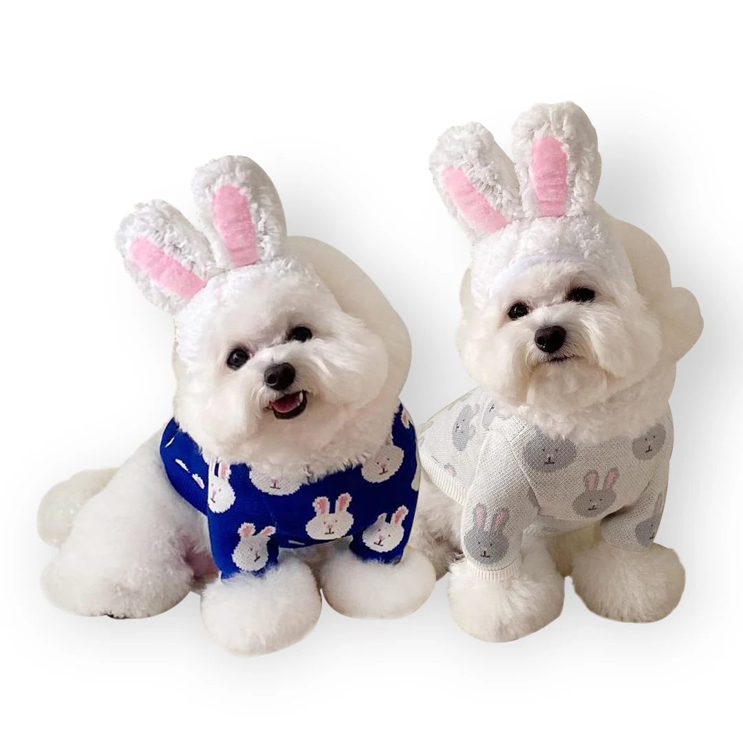 Wholesale Spring Summer Cute Bunny Designer Dog Breathable Knitted Sweater Dog Pet Clothes Dog Shirts Ropa Para Perros, Customized color
Wholesale Spring Summer Cute Bunny Designer Dog Breathable Knitted Sweater Dog Pet Clothes Dog Shirts Ropa Para Perros, Customized color