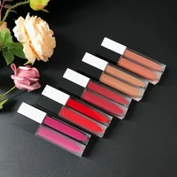 23 color private label OEM luxury no label customized lip gloss tube custom packaging vendor with wands
23 color private label OEM luxury no label customized lip gloss tube custom packaging vendor with wands
