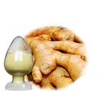 Factory Supply Good Water Solubility Spray Dried Ginger Extract Powder Gingerol 1% -10%