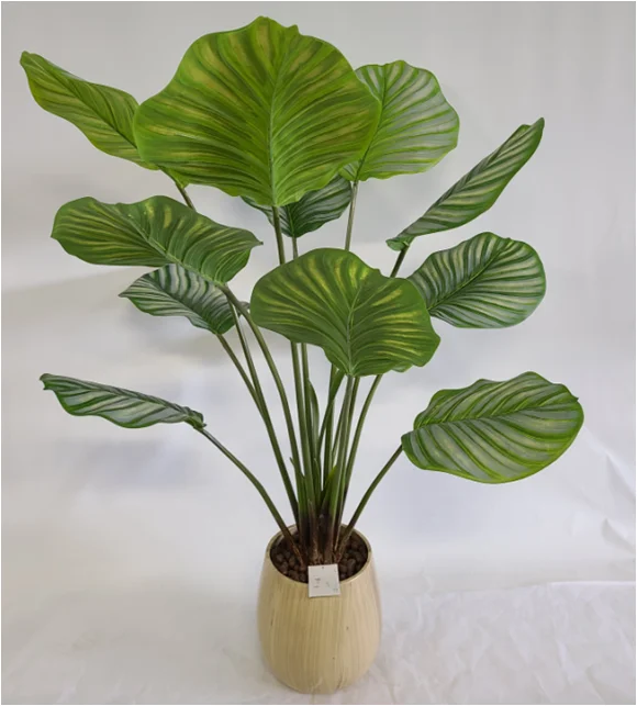 2021 New design indoor artificial plants small size greenery artificial calathea plants tree in pot, Green color ,yellow in the middle
2021 New design indoor artificial plants small size greenery artificial calathea plants tree in pot, Green color ,yellow in the middle