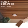 Rucca Wood Plastic Composite Suspended Ceiling Design for Shops,100*25mm Types Of Ceiling Decorative Building Material