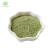/product-detail/herbal-extract-leaf-part-moringa-powder-62392411800.html
