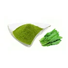Water Soluble Spinach Powder Spinach Juice Powder Spinach Extract Powder