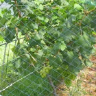 Mesh Mesh Netting Manufactured Net 3D Net For Mat In MESH FENCE For Bird 25g/m2