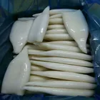 FROZEN TODARODES PACIFICUS SQUID TUBE
