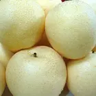 Pear Pear/ Pears Golden Pear Excellent Fresh Pear Fruit Pear/ Fresh Golden Pear 2020 Crop/china Pears Fresh