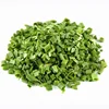 Freeze Dried Germany Chives Wholesale Lyophilization Vegetables Slice