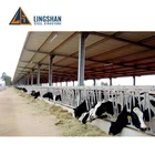 low cost prefab livestock cattle shed dairy farm structures barn house buildings construction