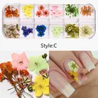 Nail Art Nail Art Designs Misscheering Mix Dried Flowers Nail Decorations Jewelry Natural Floral Leaf Stickers 3D Nail Art Designs Polish Manicure