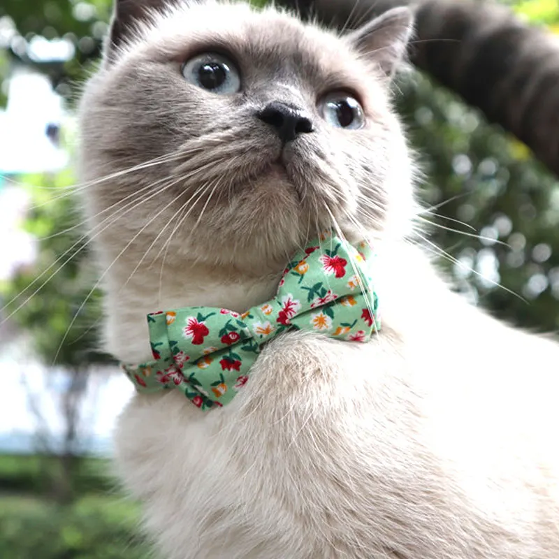 Amigo popular personalized custom flower fancy bow tie cute floral wholesale cat kitten pet collar
Amigo popular personalized custom flower fancy bow tie cute floral wholesale cat kitten pet collar