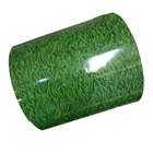 Galvanized Surface Treatment And Dx51d Grade Prepainted Galvanized Steel Coils