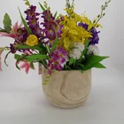 Sale Pot Plant Pot Wood Amazone Hot Sale Round Paulownia Wood Pot Solid Wood Garden Used Plant Pot Container