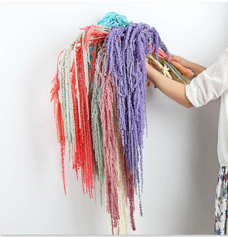 O-X740 Wholesale Natural Dried Plants Preserved Valentine's Tears Hanging Flowers Lover's Tear Flower Preserved Amaranthus
O-X740 Wholesale Natural Dried Plants Preserved Valentine's Tears Hanging Flowers Lover's Tear Flower Preserved Amaranthus