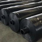 ASTM standard HDPE geomembrane liner for pond or tailing disposal