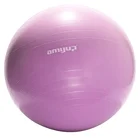 Wholesale Eco Friendly Fitness Big Yoga Body Building Pvc Anti Burst 65cm Gym Exercise Ball
