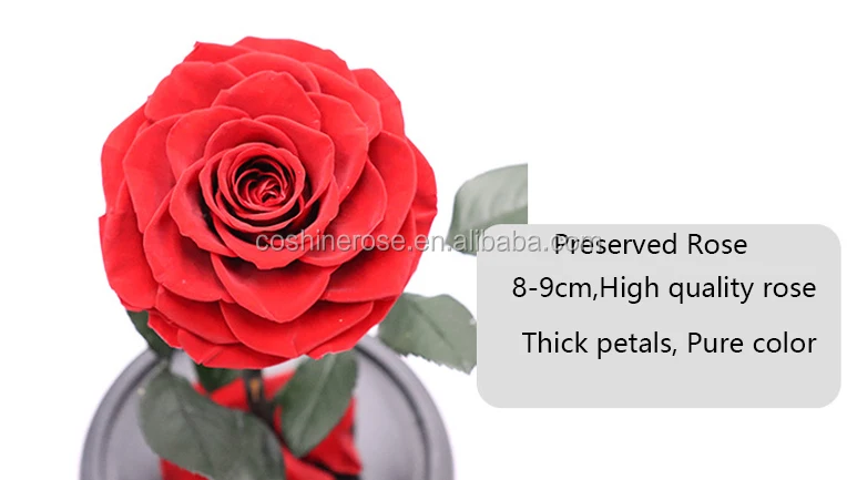 everlasting real rose preserved flowers in glass valentine gift