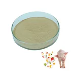 Banana flavor milk fruit milk flavor powder