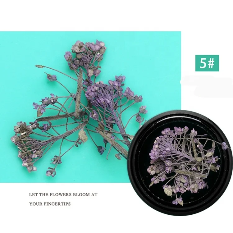 Miyoca Girls' Beauty Mini Dried Flowers for Jewelry Making and Nails Art Dry Snowball 12 Colors 3d Flower Nail Decal Sticker
Miyoca Girls' Beauty Mini Dried Flowers for Jewelry Making and Nails Art Dry Snowball 12 Colors 3d Flower Nail Decal Sticker