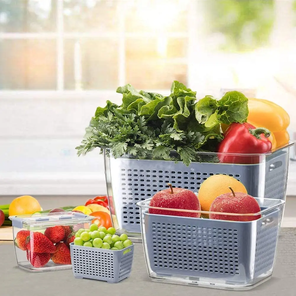 Plastic Fresh Fruit Storage Containers Vegetable Storage Box Fresh Vegetable Fruit Storage
Plastic Fresh Fruit Storage Containers Vegetable Storage Box Fresh Vegetable Fruit Storage