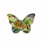 3D Section Selling well Having custom-made Gift souvenir crystal glass fridge magnet
