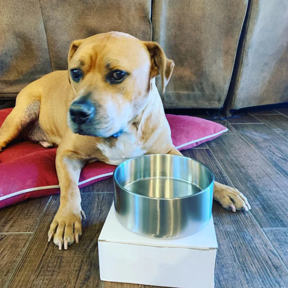 Medium Large Non Spil Stainless Steel Raised Dog Bowl For Pets Feeder Bowl With Rubber Base Stainless Steel Dog Food Bowl, Steel color or customized color
Medium Large Non Spil Stainless Steel Raised Dog Bowl For Pets Feeder Bowl With Rubber Base Stainless Steel Dog Food Bowl, Steel color or customized color