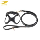 High quality cool adjustable dog harness with leash