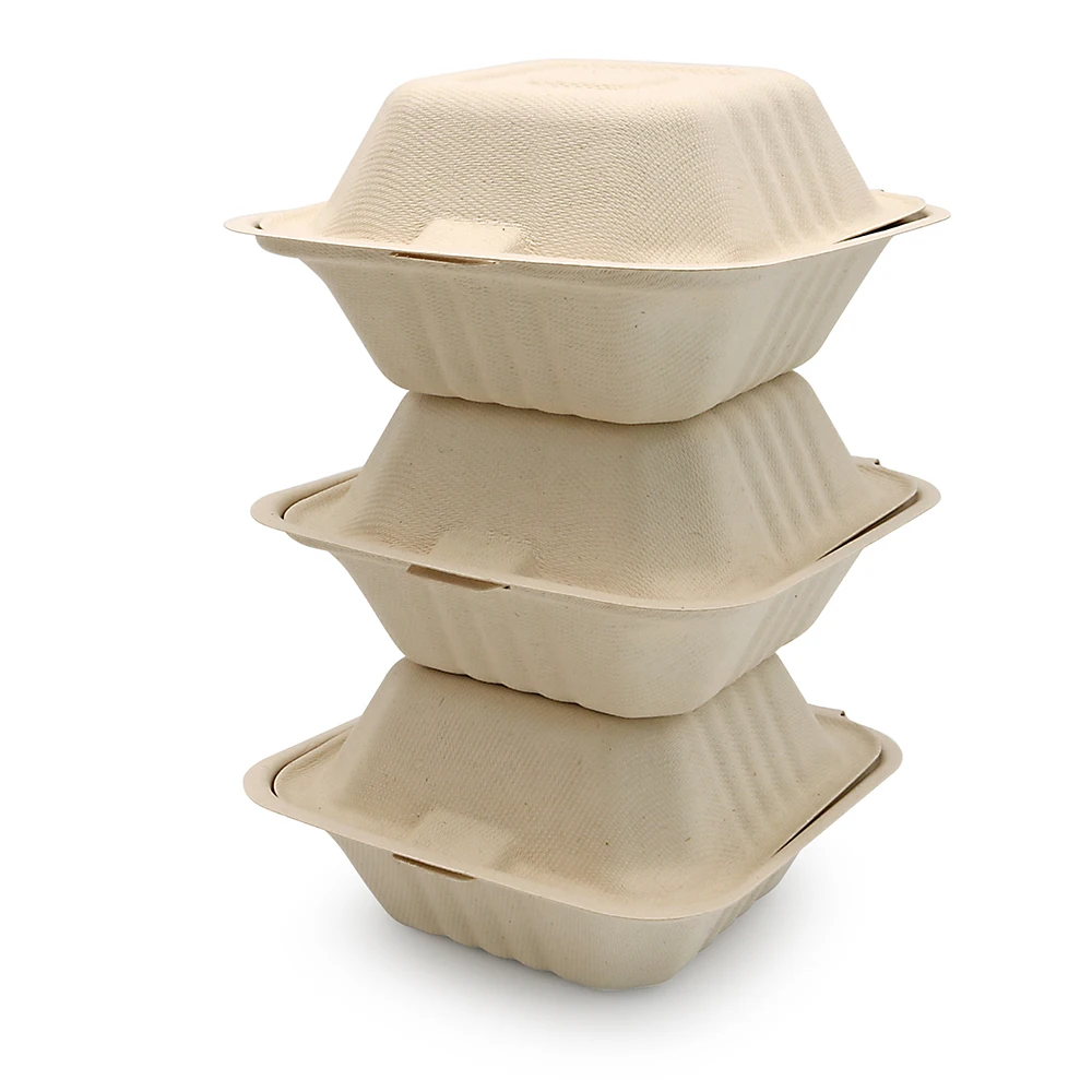 Renewable Bagasse Pulp Paper Clamshell Lock Food Container Disposable Takeout To Go Bento Box
Renewable Bagasse Pulp Paper Clamshell Lock Food Container Disposable Takeout To Go Bento Box