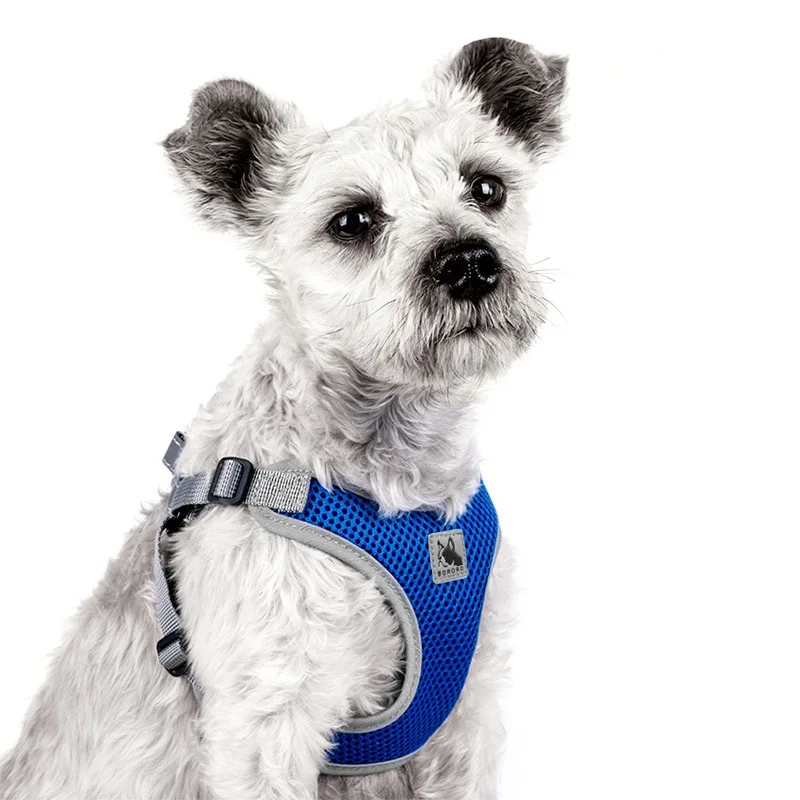 Amazon hot wholesale OEM light net dog harness breathable 3M reflective adjustable vest harness and leash, Customized color
Amazon hot wholesale OEM light net dog harness breathable 3M reflective adjustable vest harness and leash, Customized color
