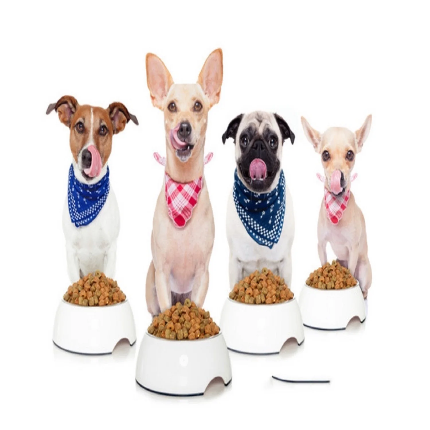 Customized wholesale corn meat and bone meal natural high protein healthy dog food, Natural color
Customized wholesale corn meat and bone meal natural high protein healthy dog food, Natural color