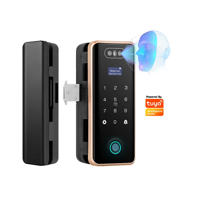 Tediton Security Hook Mortise Fingerprint Frameless glass door face recognition Tuya wifi smart door lock
Tediton Security Hook Mortise Fingerprint Frameless glass door face recognition Tuya wifi smart door lock