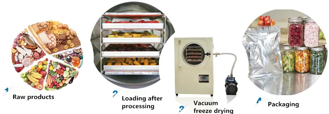 Factory price fruit vegetable insect flower tea lyophilizer vacuum freeze dryer dehydrator