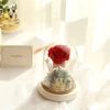 Gift from China real touch preserved rainbow rose for lady