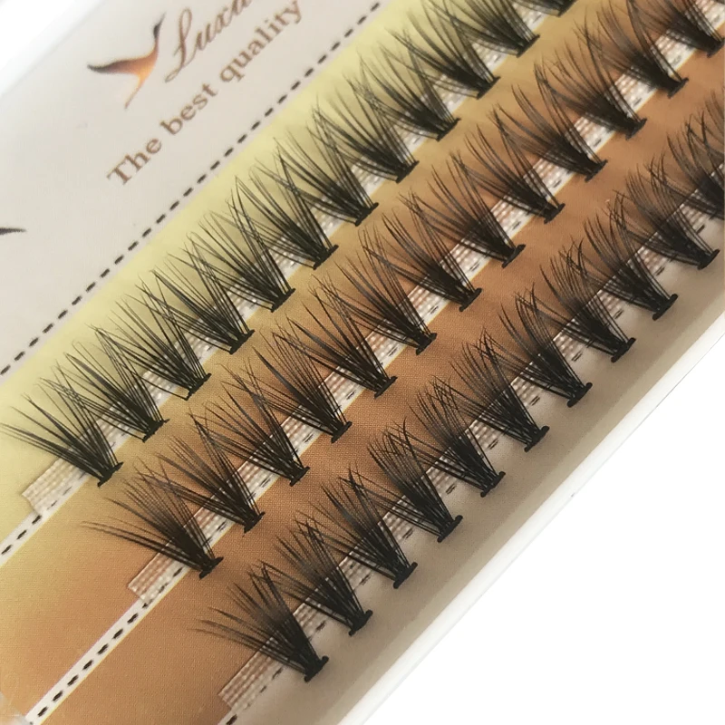 heat bonded volume eyelash extension 20d russian cluster false eyelash premade eyelash fans
heat bonded volume eyelash extension 20d russian cluster false eyelash premade eyelash fans