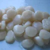 /product-detail/frozen-high-quality-scallop-meat-1319710871.html