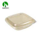 Eco friendly disposable pulp catering clear large dessert salad bowls