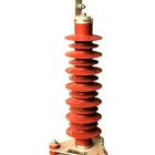 Low price 35kv 33kv Station Class thunder surge arrester