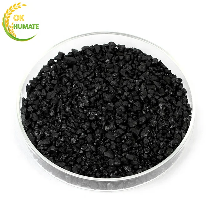 X-HUMATE Granules Organic Fertilizer 85% Black Sodium Humate Super Sodium Humate
