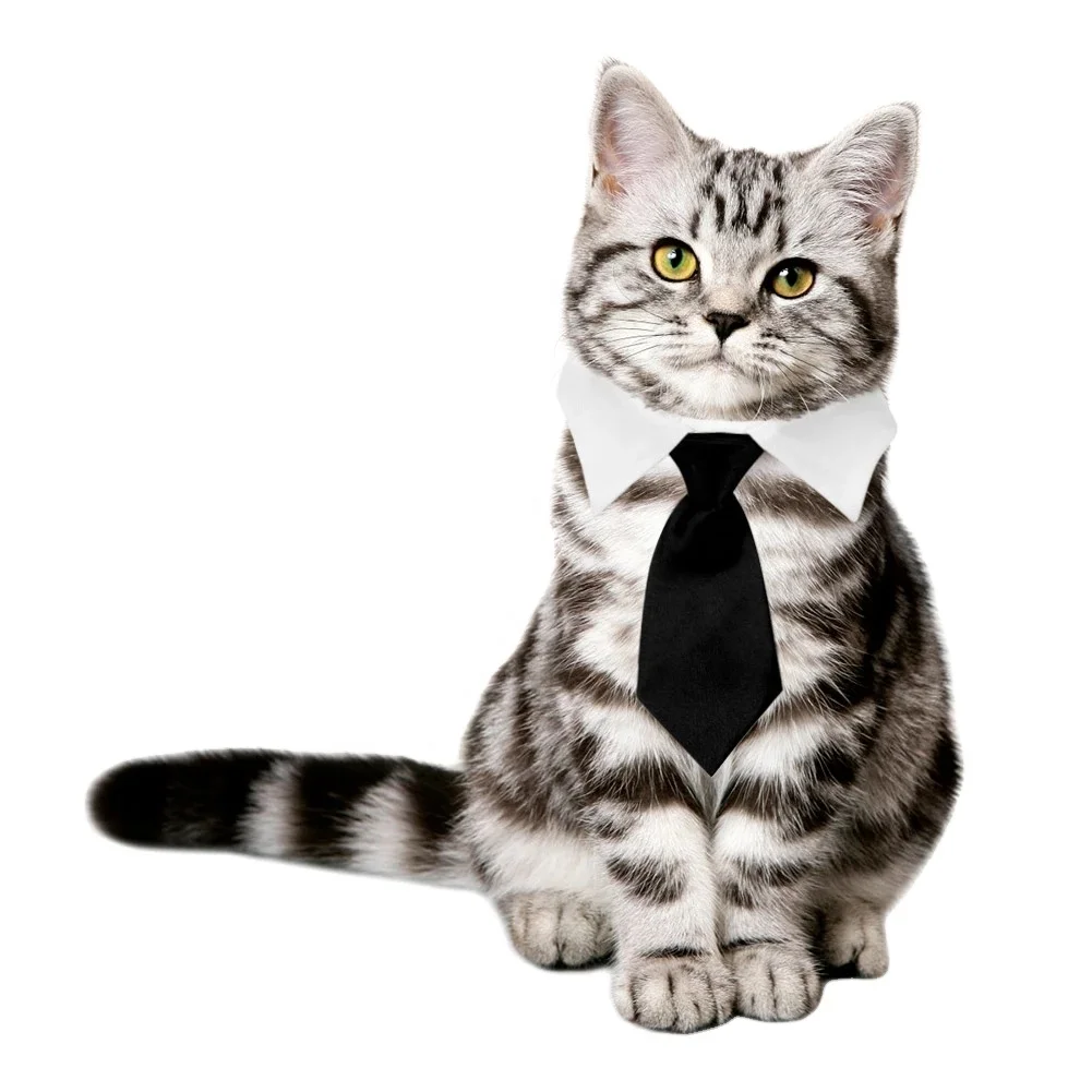 Pet Dog Cat Formal Necktie Tuxedo Bow Tie Black And Red Collar For Dog Cat Pet Accessories Suit For Small Medium Dogs And Cats, Black,red
Pet Dog Cat Formal Necktie Tuxedo Bow Tie Black And Red Collar For Dog Cat Pet Accessories Suit For Small Medium Dogs And Cats, Black,red