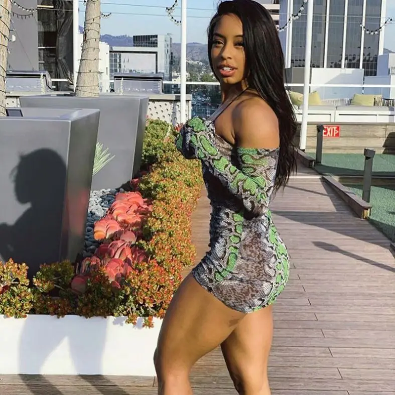 Animal Snake Print Fashion Off Shoulder Sexy Mesh See Through Women's Mini Dress Bodycon Long Sleeve Dresses
Animal Snake Print Fashion Off Shoulder Sexy Mesh See Through Women's Mini Dress Bodycon Long Sleeve Dresses