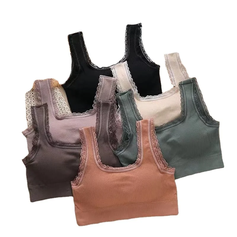 Women's Elegant Lace Neckline Stretch Wide Strap No Steel Ring Crop Top Chest Wrap Seamless Bra
Women's Elegant Lace Neckline Stretch Wide Strap No Steel Ring Crop Top Chest Wrap Seamless Bra
