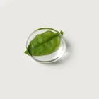 Borosilicate Glass 63*10mm Tempered Round Sight