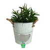 /product-detail/light-green-bonsai-pot-for-plant-half-round-metal-bucket-with-rope-handles-62311003251.html