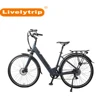 /product-detail/green-power-supply-electric-bike-step-through-urban-city-electro-bike-62188125901.html