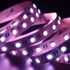 High Brightness Led camping Lights 1.5m Powered Portable Led Strips, 5050 Led Rope Light, Outdoor Camping Led Strip Light