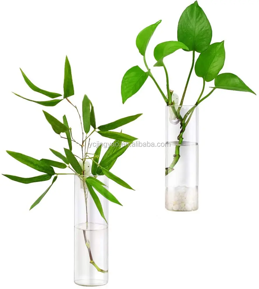 Wall Hanging Glass Plant Terrarium Container Cylinder Shape Perfect for Propagating Hydroponic Plants Home Office Garden Decor, Clear
Wall Hanging Glass Plant Terrarium Container Cylinder Shape Perfect for Propagating Hydroponic Plants Home Office Garden Decor, Clear