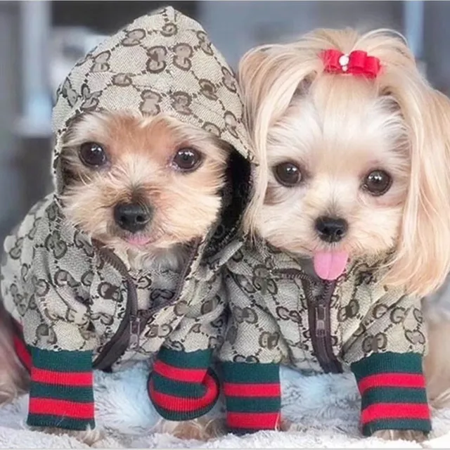 dog jumper wholesale designer girl pet arket shoes puppy dog clothing Fashion pet apparel & accessories dog clothes luxury
dog jumper wholesale designer girl pet arket shoes puppy dog clothing Fashion pet apparel & accessories dog clothes luxury