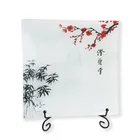 10 Inch Beautiful Design Microwave Unbreakable Tableware