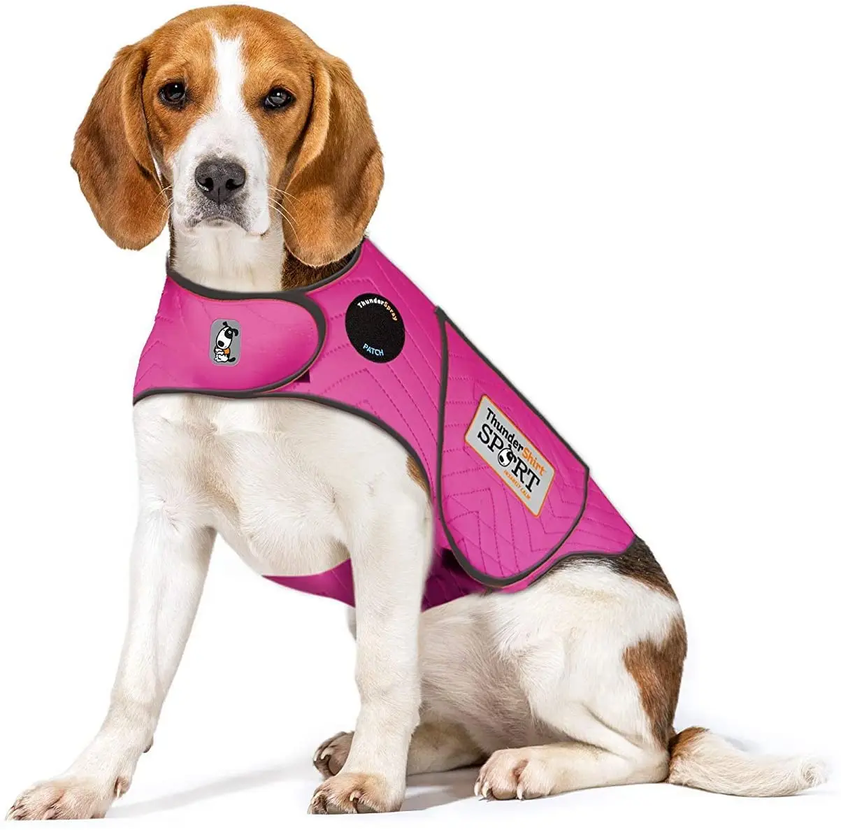 Sport Dog Anxiety Jacket Keep Calm Clothes Wint Keep Calm Clothes Dog Jacket Pet Emotional Appeasing Jacket Coat, See picture
Sport Dog Anxiety Jacket Keep Calm Clothes Wint Keep Calm Clothes Dog Jacket Pet Emotional Appeasing Jacket Coat, See picture