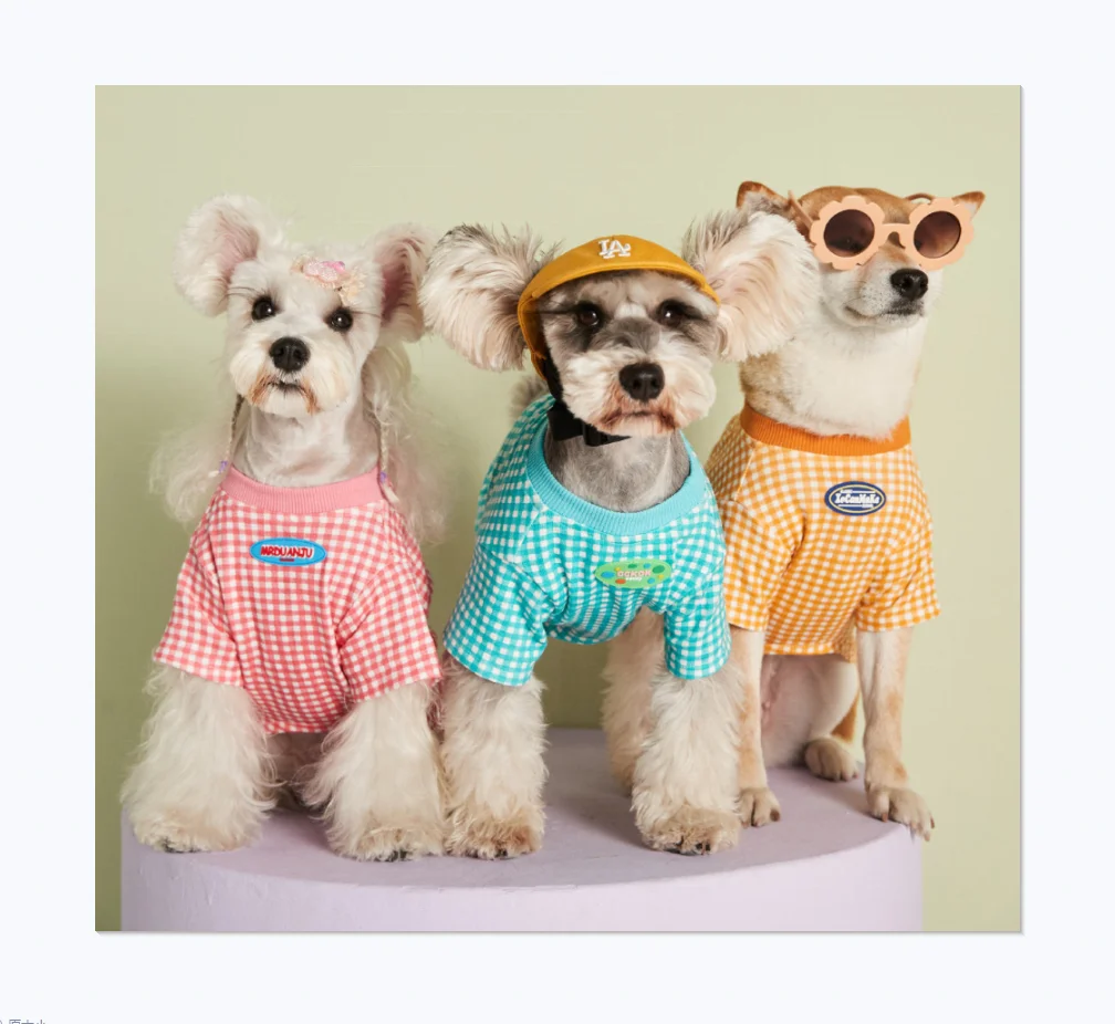 Factory wholesale new design casual sports fashion pet clothes summer thin candy color plaid dog T-shirt, Black,white
Factory wholesale new design casual sports fashion pet clothes summer thin candy color plaid dog T-shirt, Black,white
